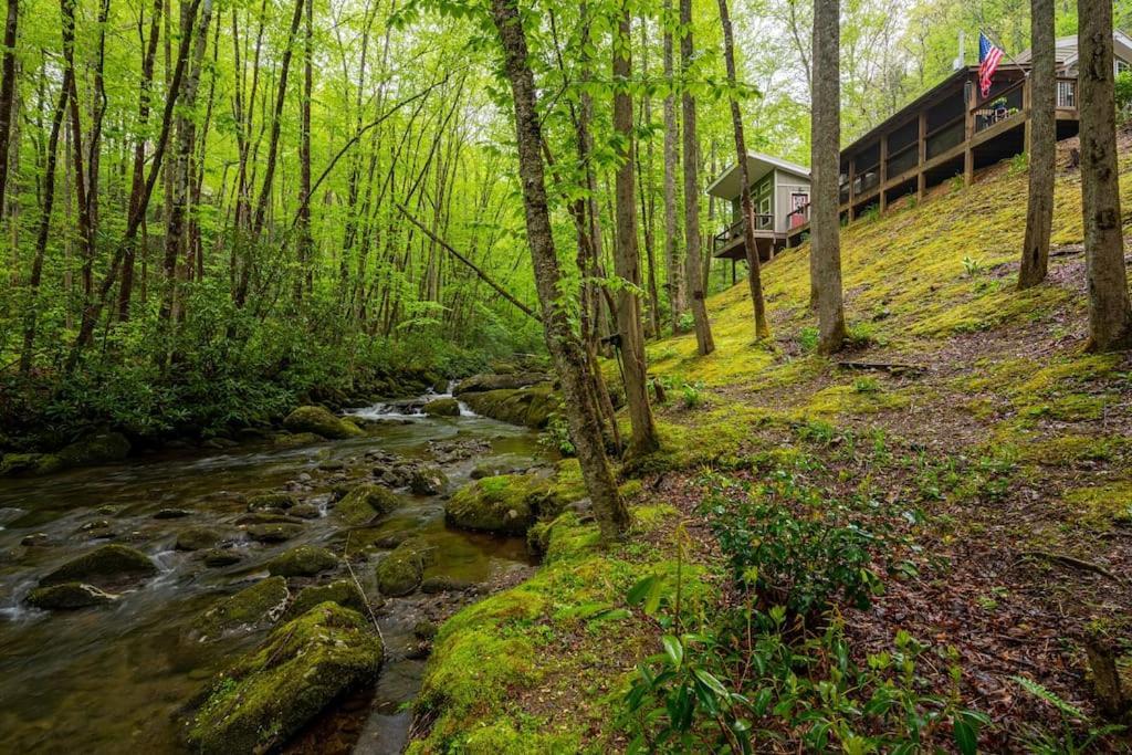 Villa The Owl'S Perch Robbinsville Exterior foto