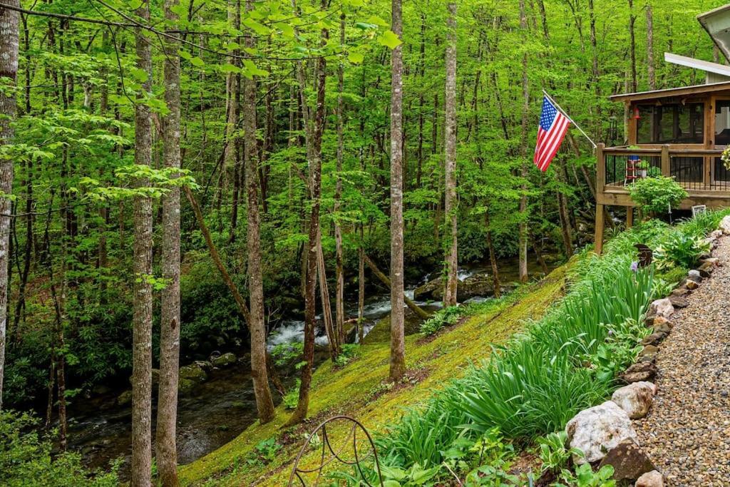 Villa The Owl'S Perch Robbinsville Exterior foto